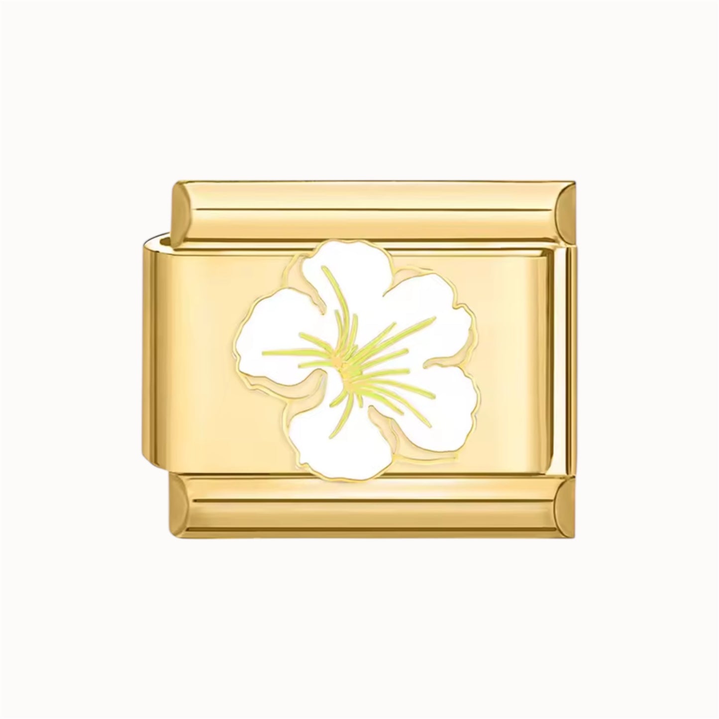 HIBISCUS
