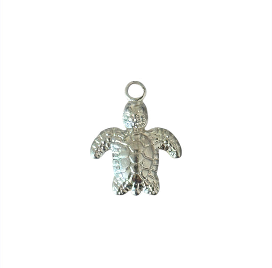 TORTUE