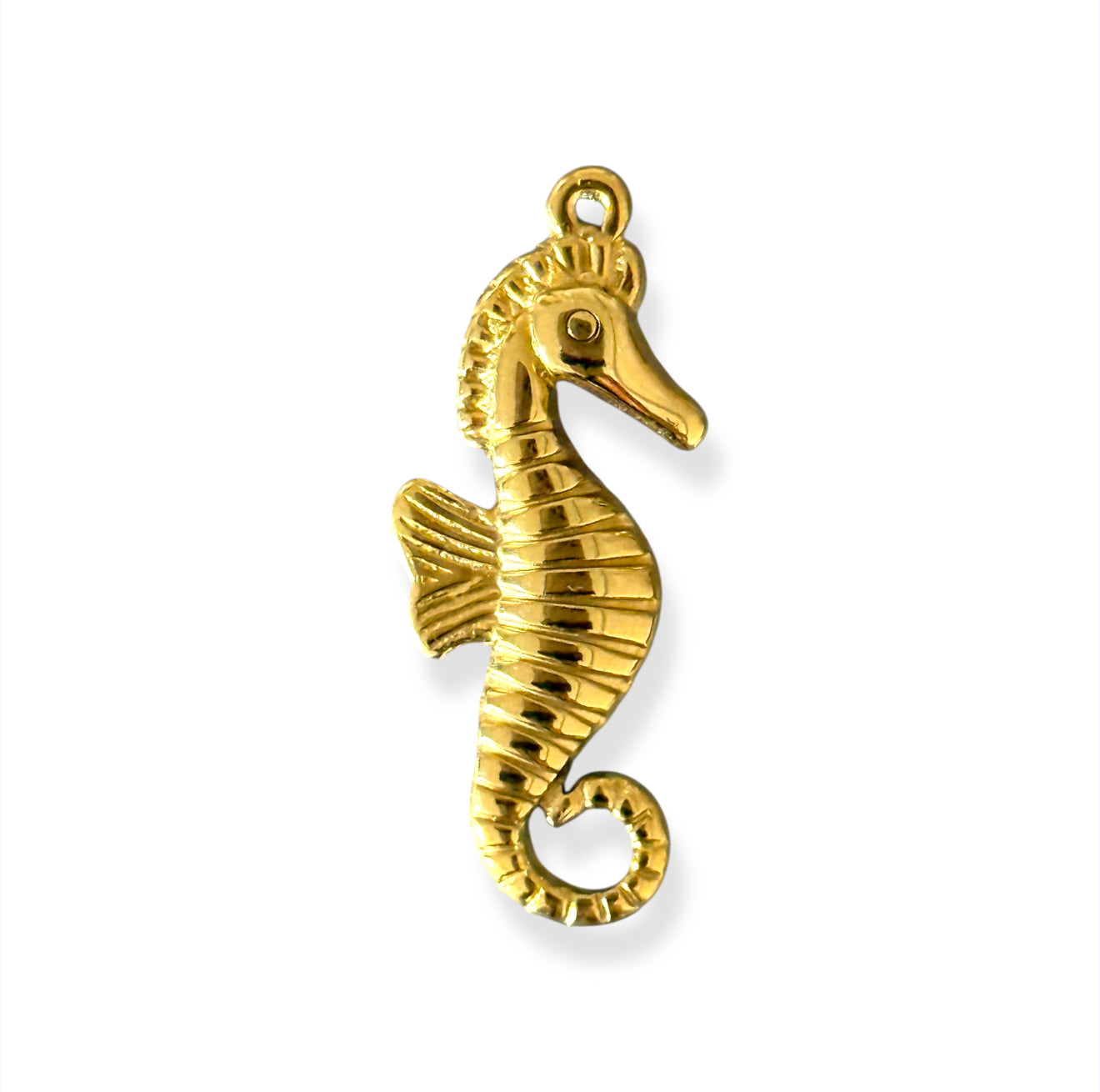 HIPPOCAMPE