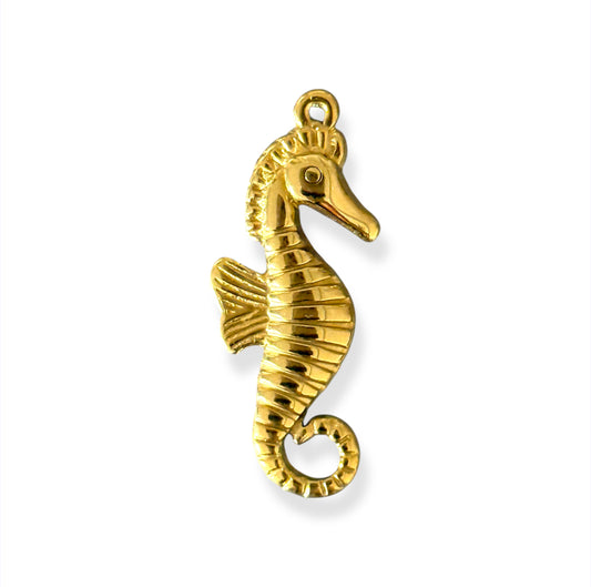 HIPPOCAMPE